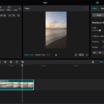 Cinematic Colour grading VN Video Editor tutorial | VN Video Editor # ...