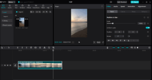 Cinematic Colour grading VN Video Editor tutorial | VN Video Editor # ...