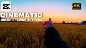 How to do Cinematic Color Grading in CapCut | Mastering Color Grading ...